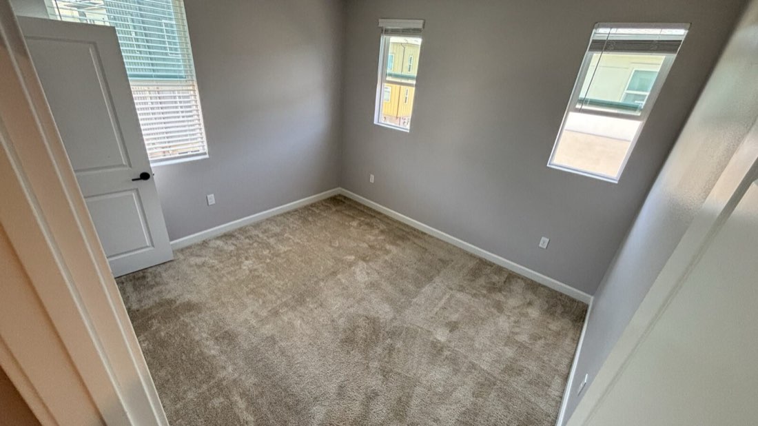 Wall-to-wall carpet after extraction cleaning