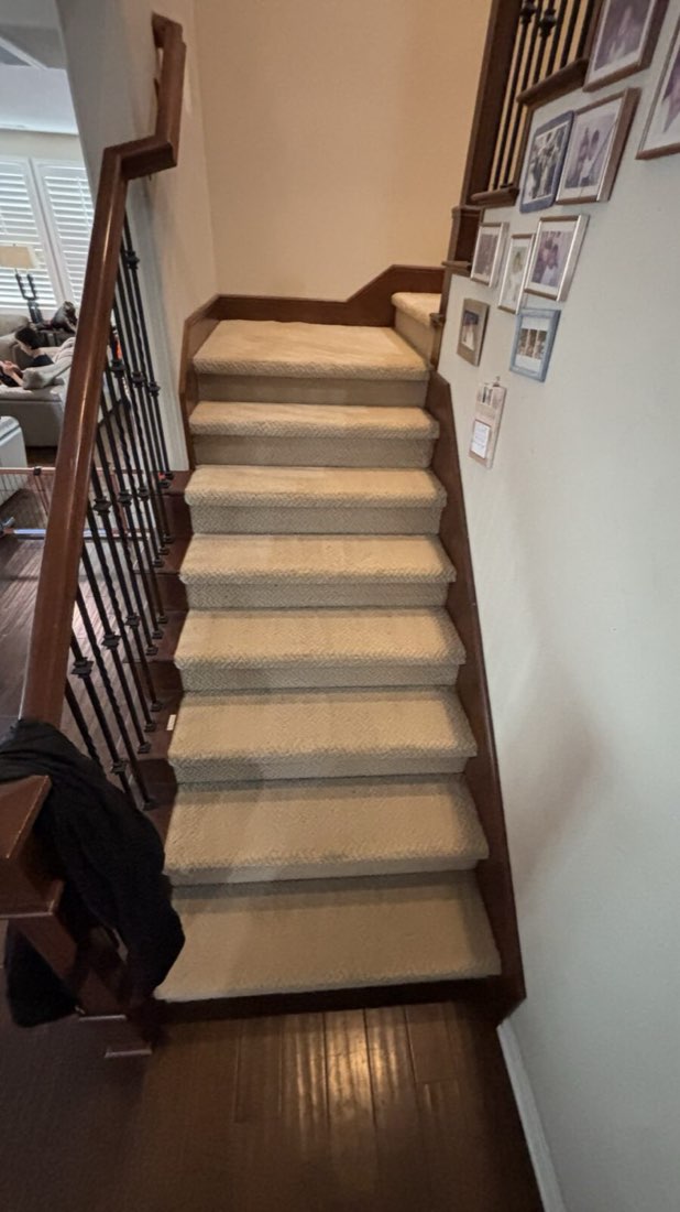 Carpeted staircase after cleaning